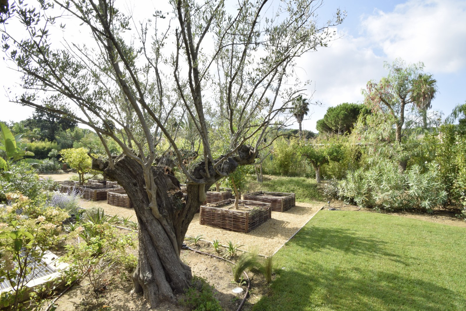 09 GUILLEC IMMOBILIER SAINT TROPEZ 1600x1067